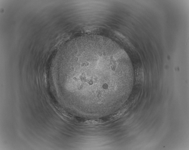 X0000076320703200610161644