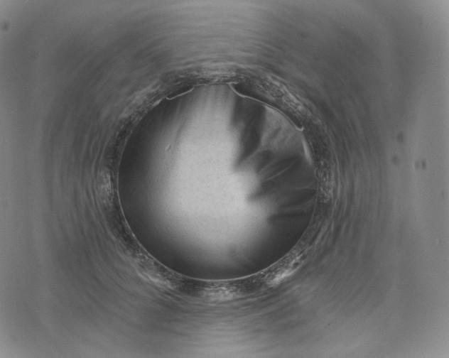 X0000076320704200610161644