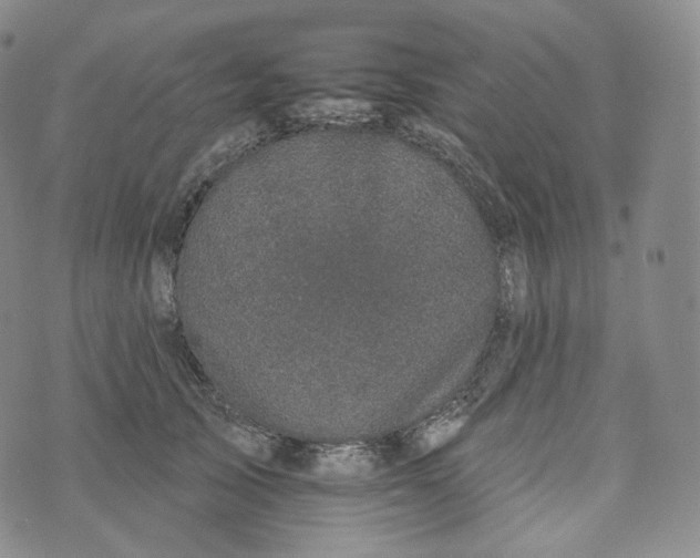 X0000076320705200610161644