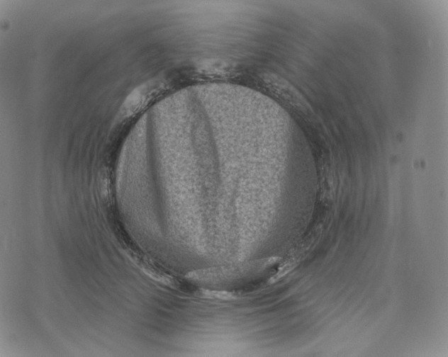 X0000076320706200610161644