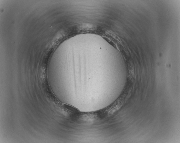 X0000076320708200610161644