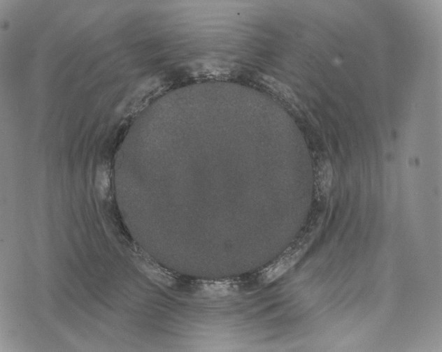 X0000076320709200610161644