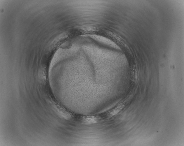 X0000076320710200610161644