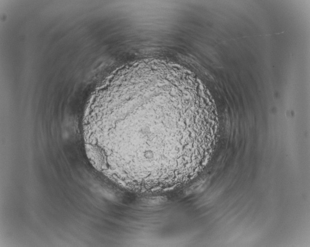 X0000076320711200610161644