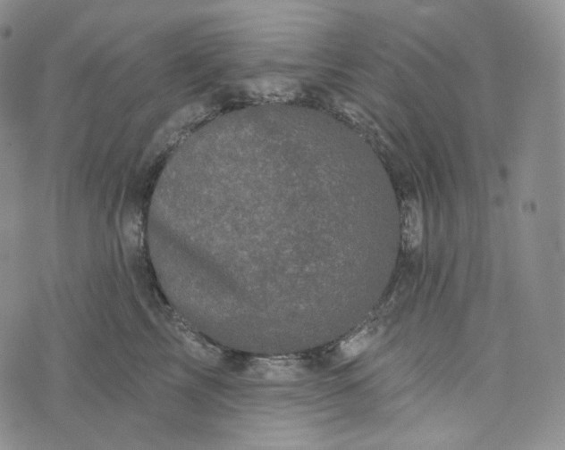 X0000076320713200610161644