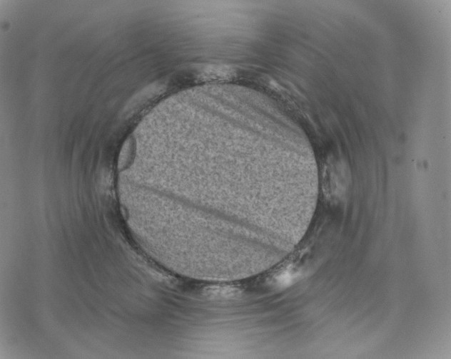 X0000076320714200610161644