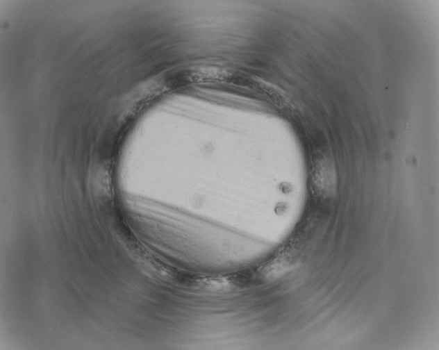 X0000076320715200610161644