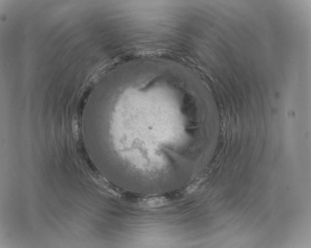 X0000076320716200610161644