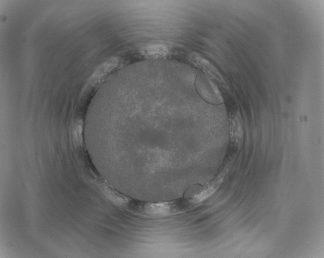 X0000076320717200610161644