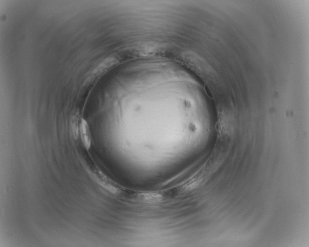 X0000076320719200610161644