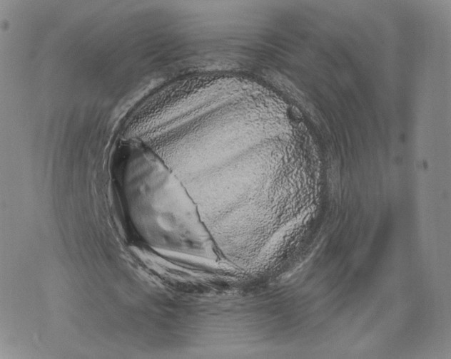 X0000076320721200610161643