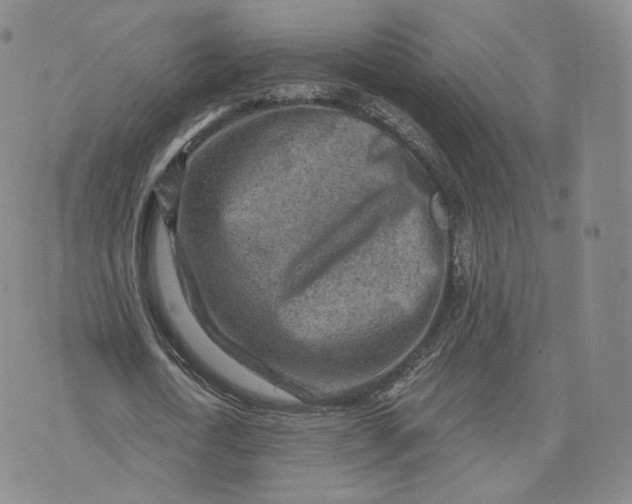 X0000076320722200610161643