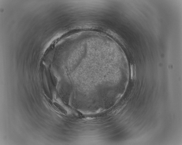 X0000076320723200610161643