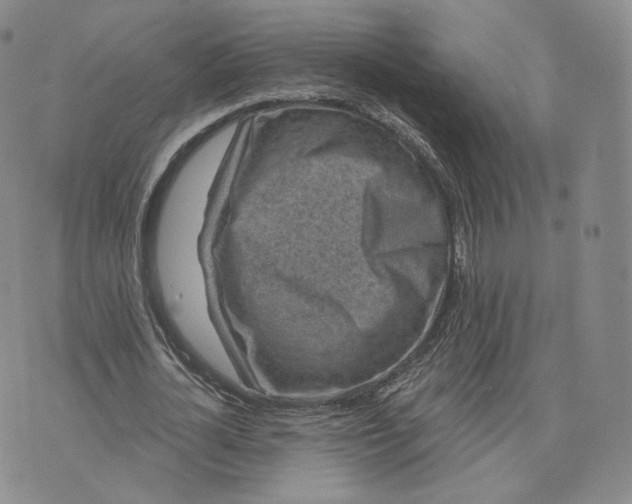 X0000076320724200610161643