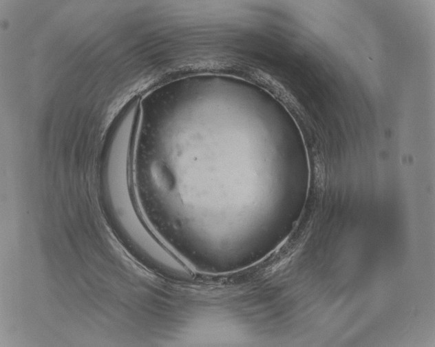 X0000076320725200610161643