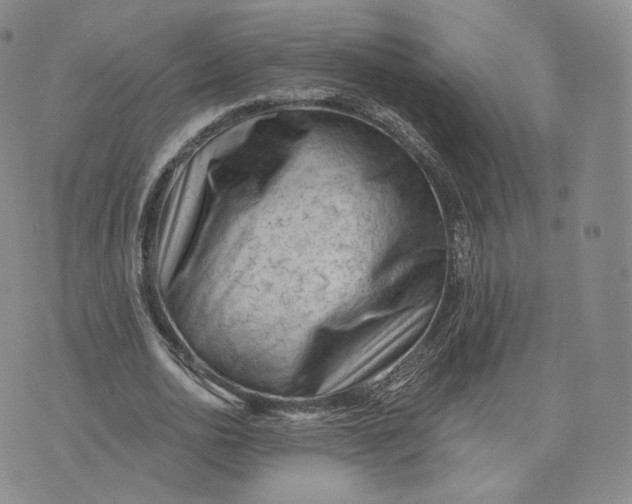 X0000076320726200610161643