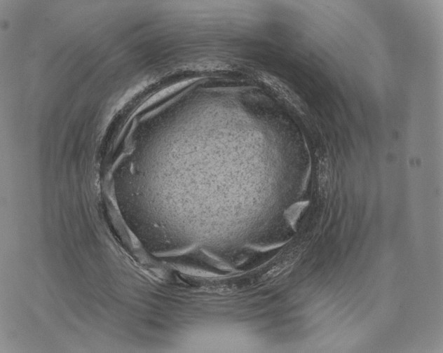 X0000076320727200610161643