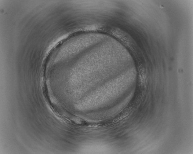 X0000076320728200610161643