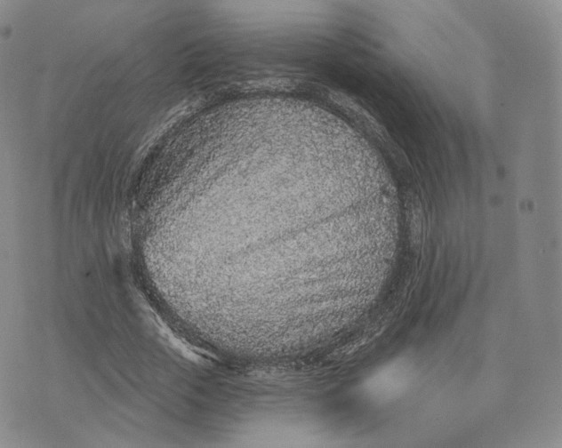 X0000076320729200610161643