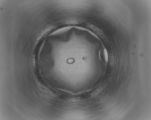 X0000076320731200610161643