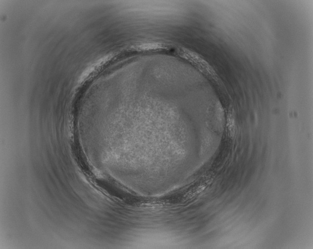 X0000076320732200610161643