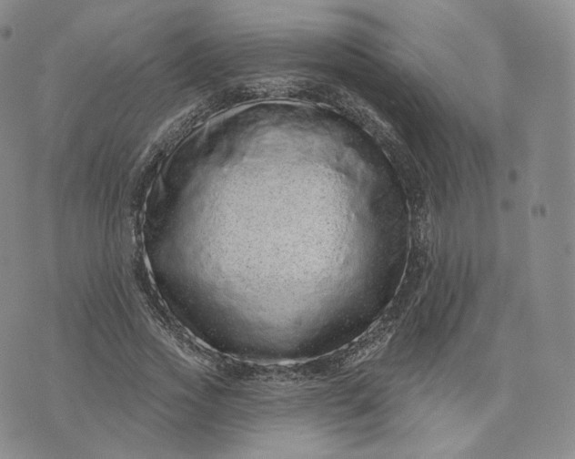 X0000076320733200610161643