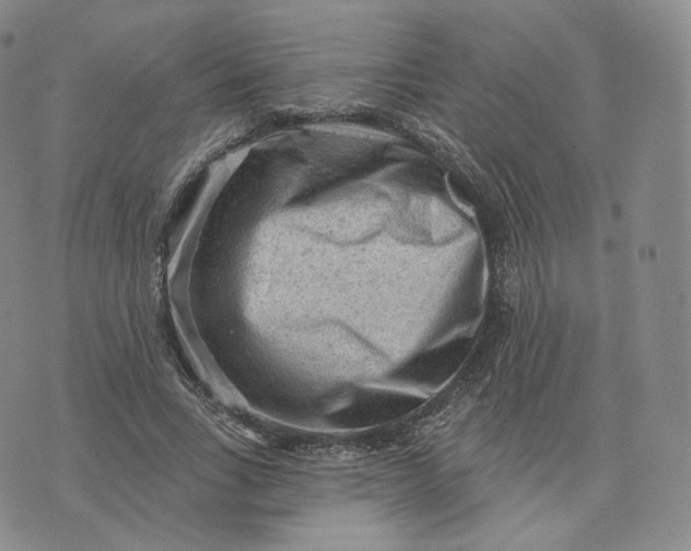 X0000076320735200610161643