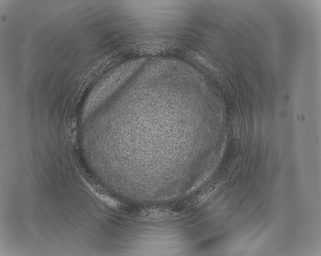 X0000076320737200610161643