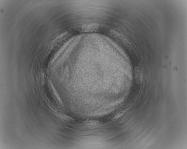 X0000076320741200610161643