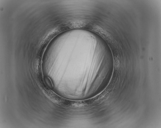 X0000076320742200610161643