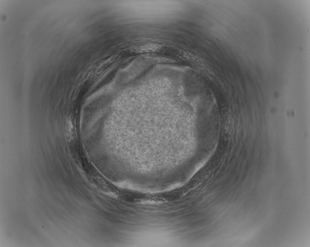 X0000076320743200610161643