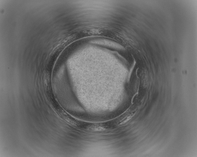 X0000076320747200610161643