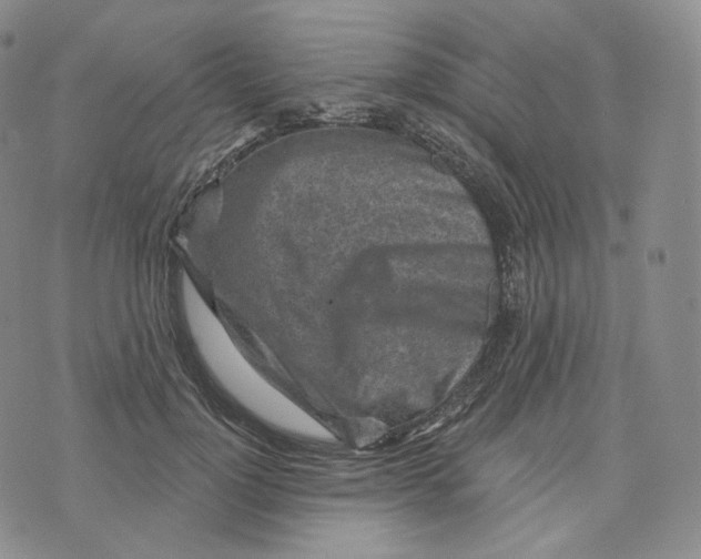 X0000076320748200610161643