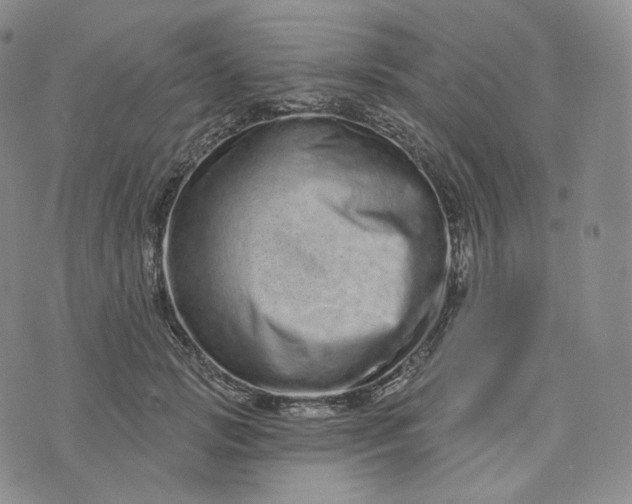 X0000076320749200610161643