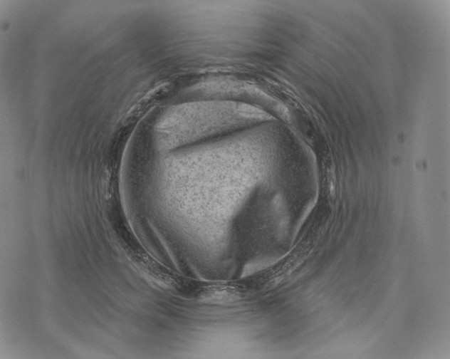 X0000076320750200610161643