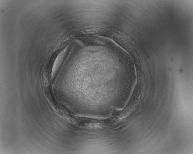 X0000076320751200610161643