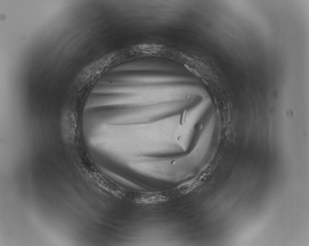 X0000076320752200610161643