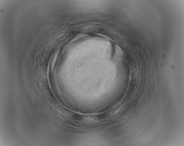 X0000076320753200610161643