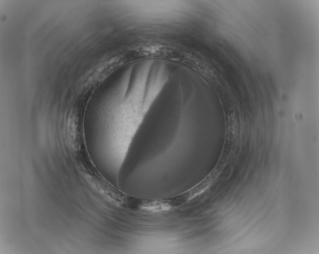 X0000076320754200610161643