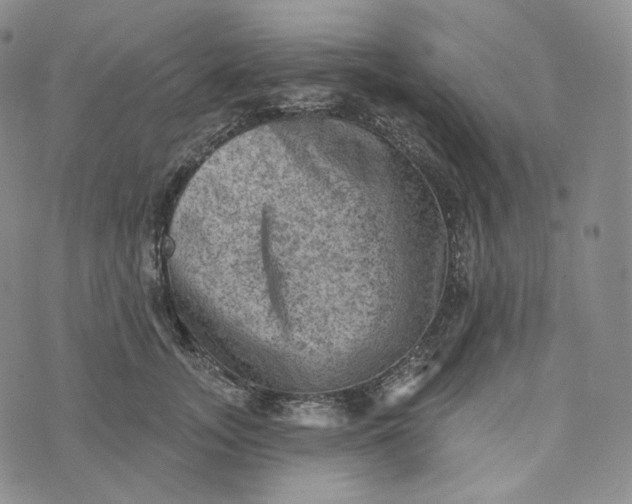 X0000076320755200610161643