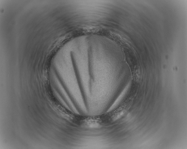 X0000076320756200610161643