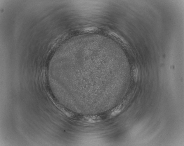 X0000076320757200610161643