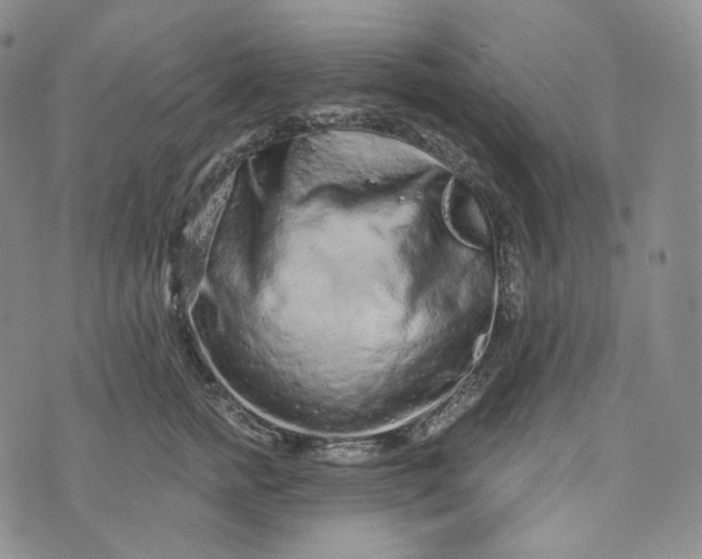 X0000076320758200610161643