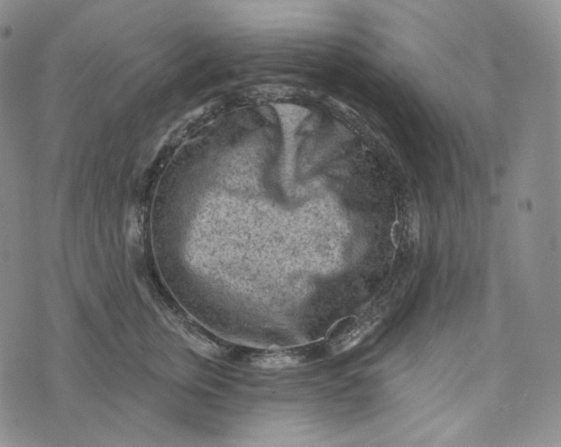 X0000076320759200610161643