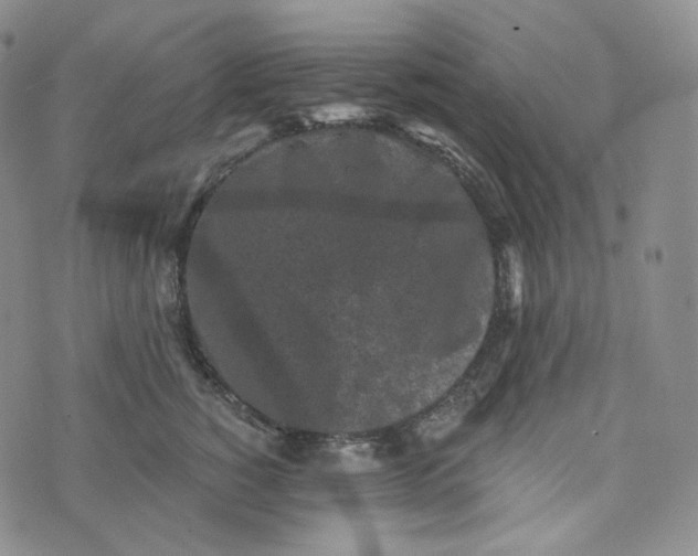 X0000076320760200610161643