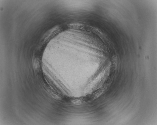 X0000076320761200610161643