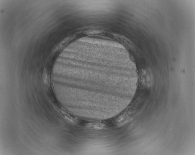 X0000076320763200610161644