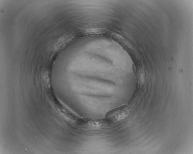 X0000076320764200610161644