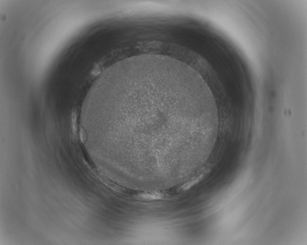 X0000076320765200610161644