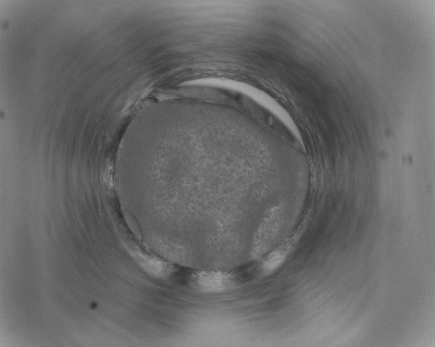 X0000076320766200610161644